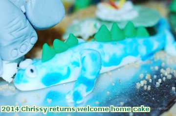  chris 2014 Chrissy returns welcome home cake