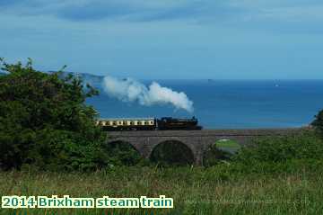  dart2 2014 Brixham steam train