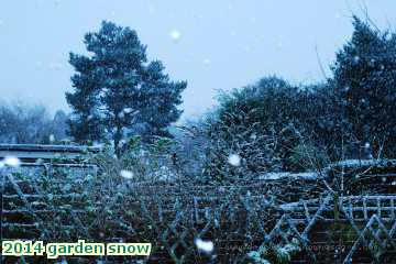  gard 2014 garden snow