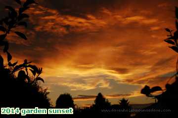  gard 2014 garden sunset