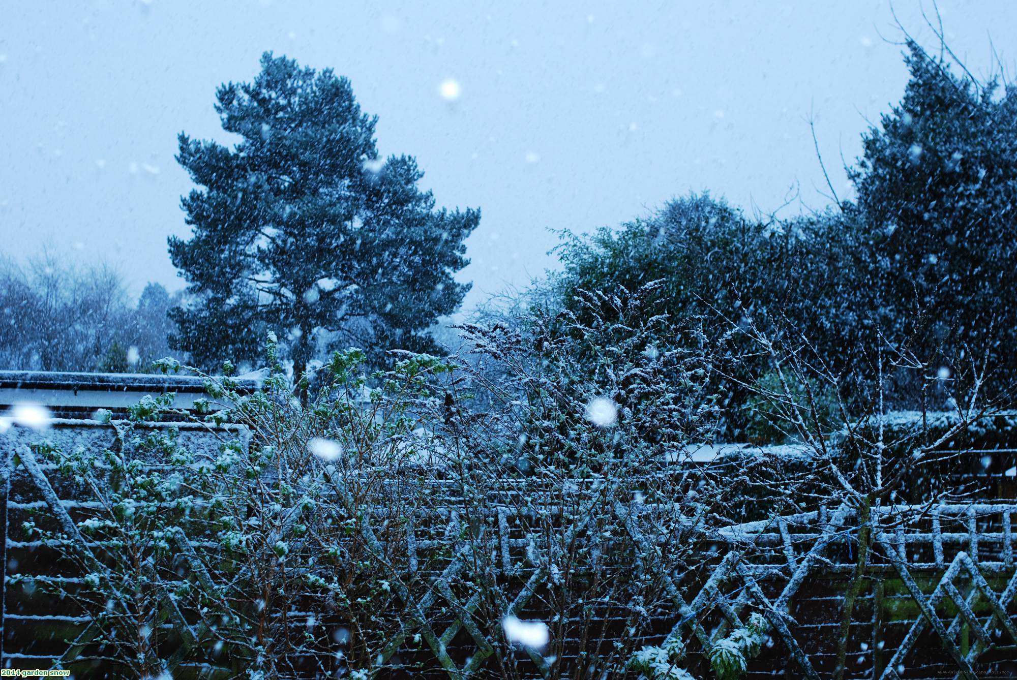 2014 garden snow