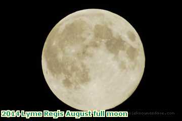  lyme3 2014 Lyme Regis August full moon