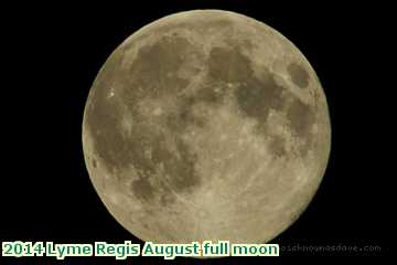  lyme3 2014 Lyme Regis August full moon