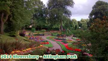  shrew 2014 Shrewsbury - Attingham Park