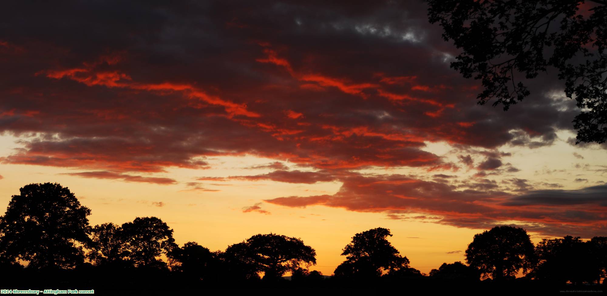 2014 Shrewsbury - Attingham Park sunset