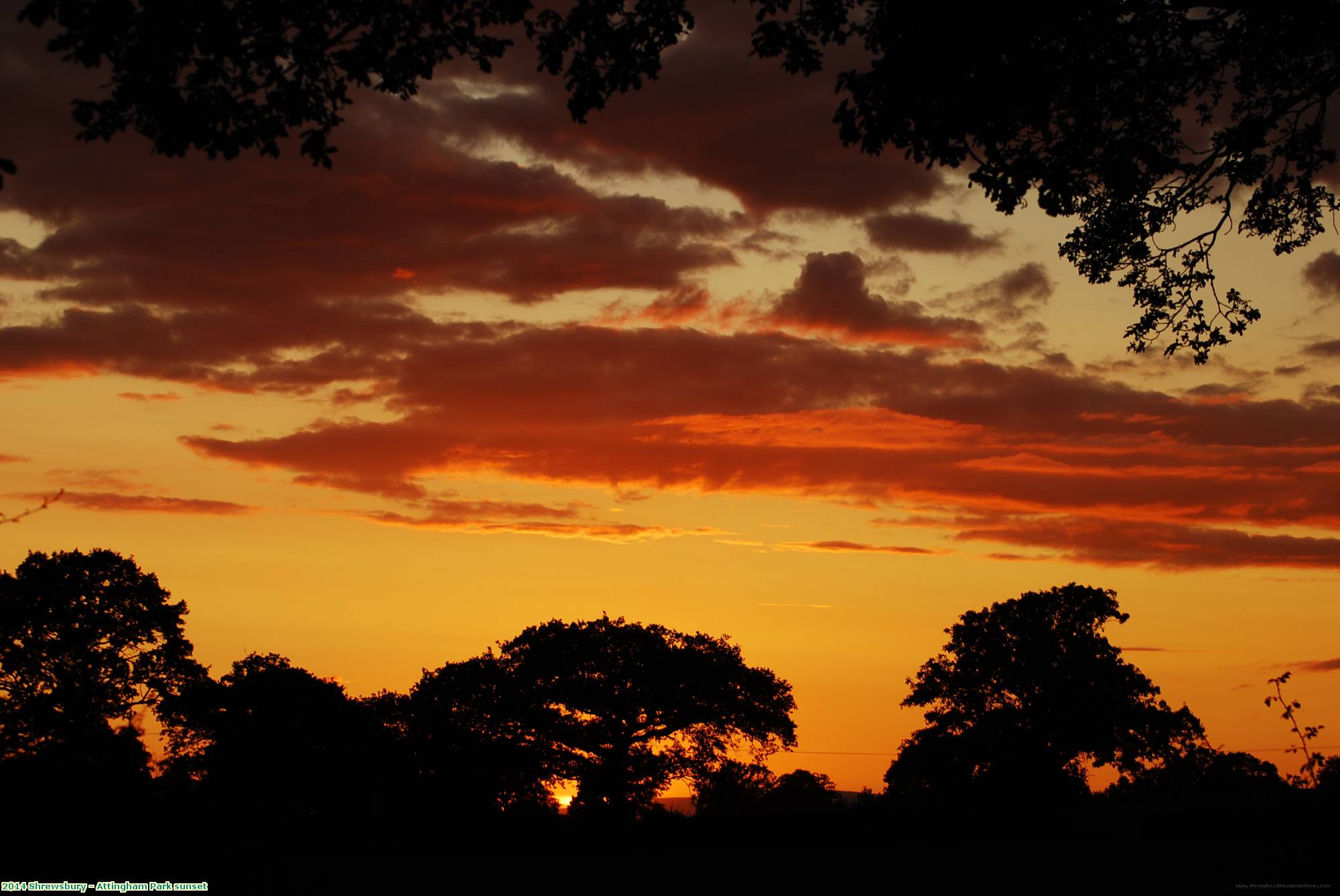 2014 Shrewsbury - Attingham Park sunset