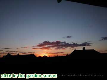  gard 2016 in the garden sunset