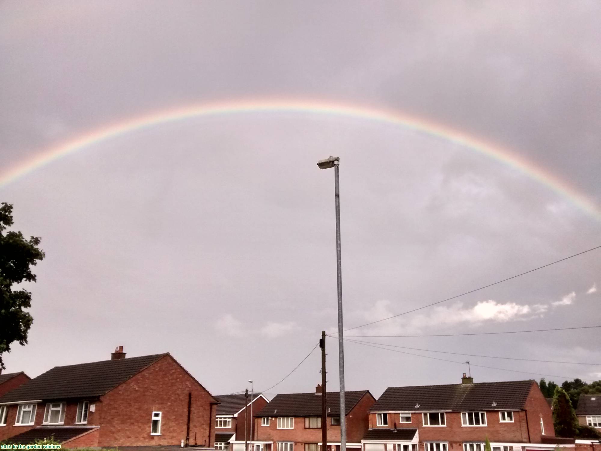 2016 in the garden rainbow