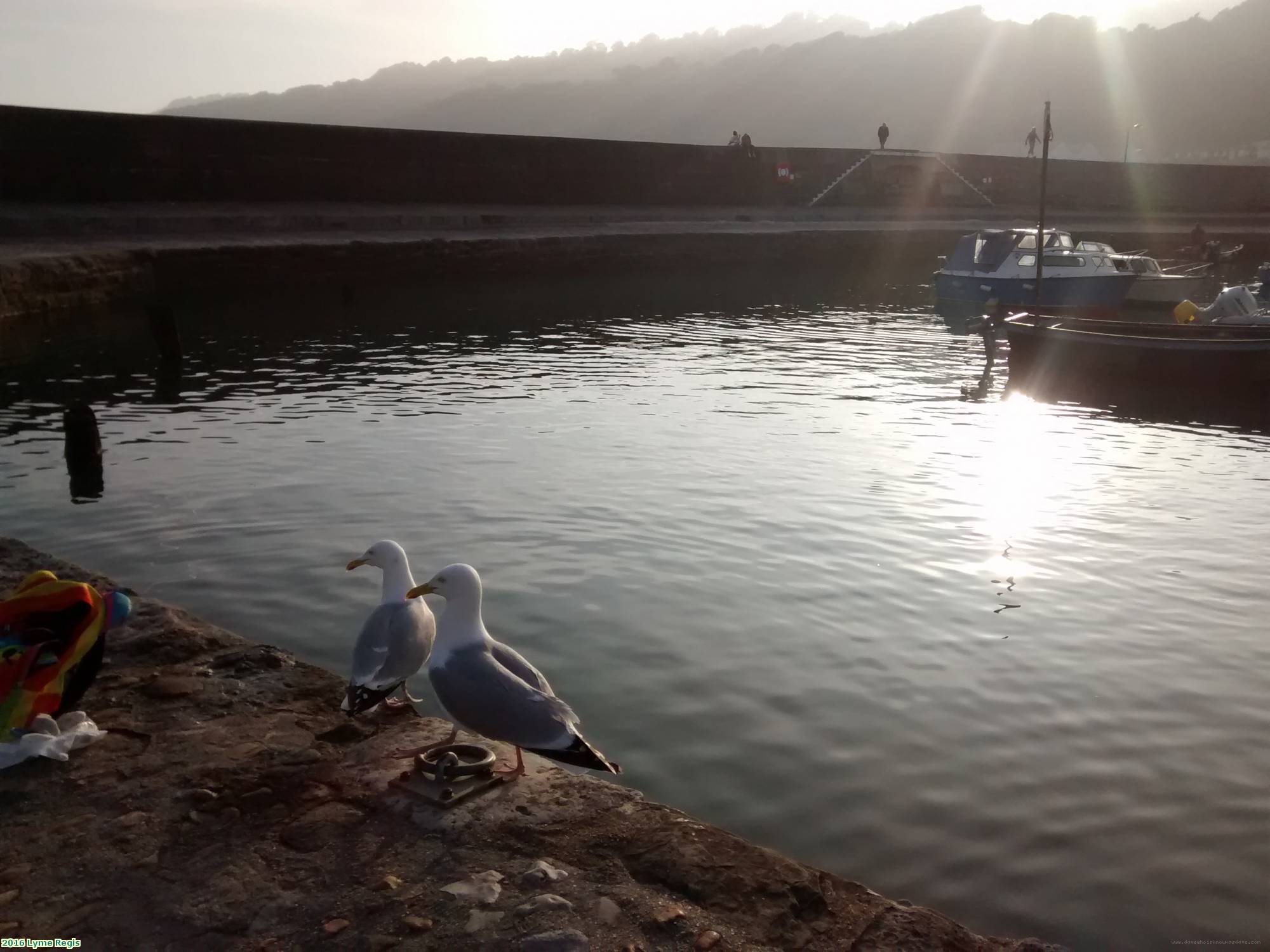 2016 Lyme Regis