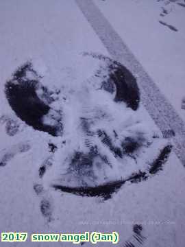  gard2 2017  snow angel (Jan)