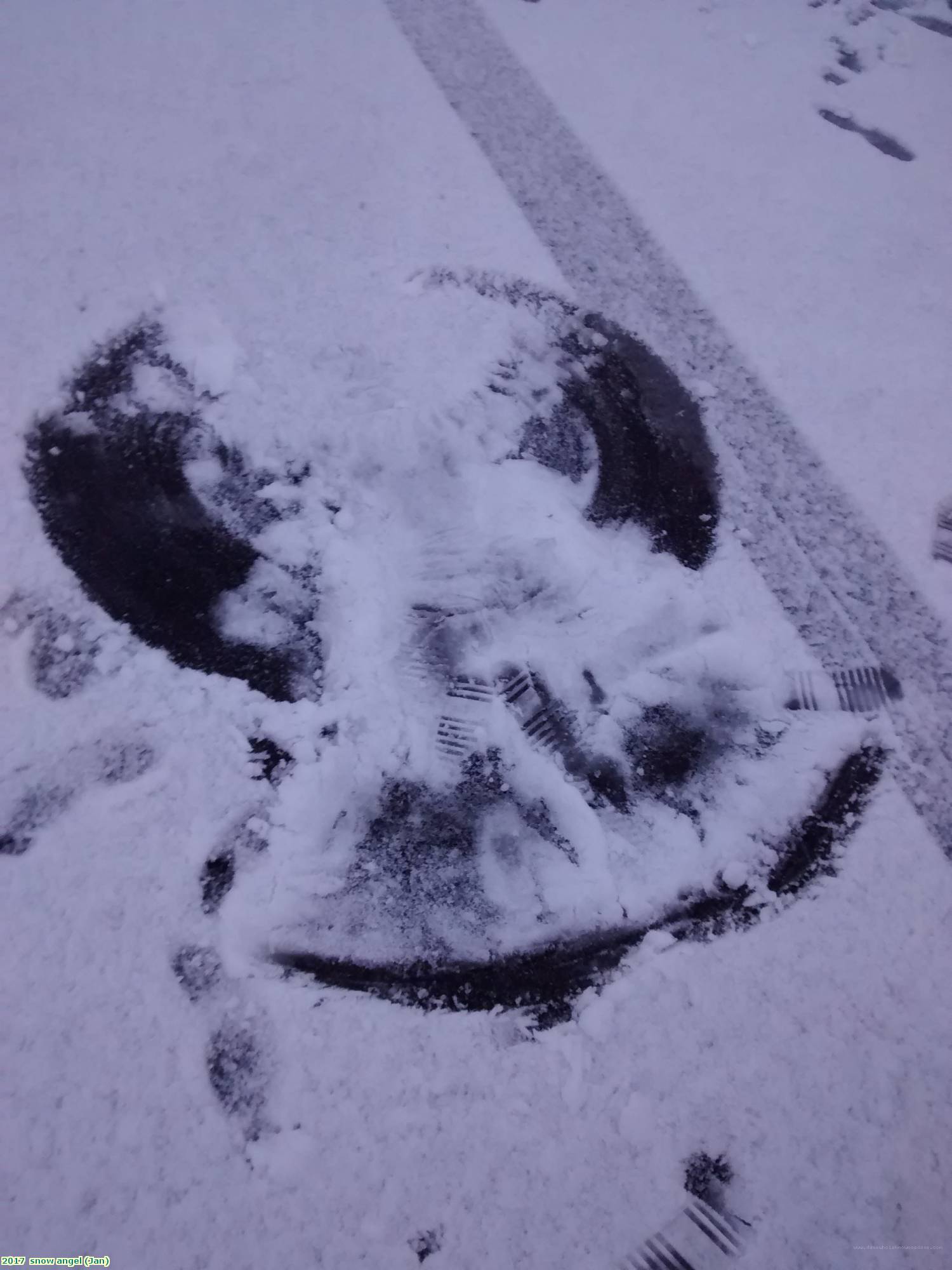 2017  snow angel (Jan)