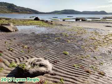  lyme3 2017 Lyme Regis