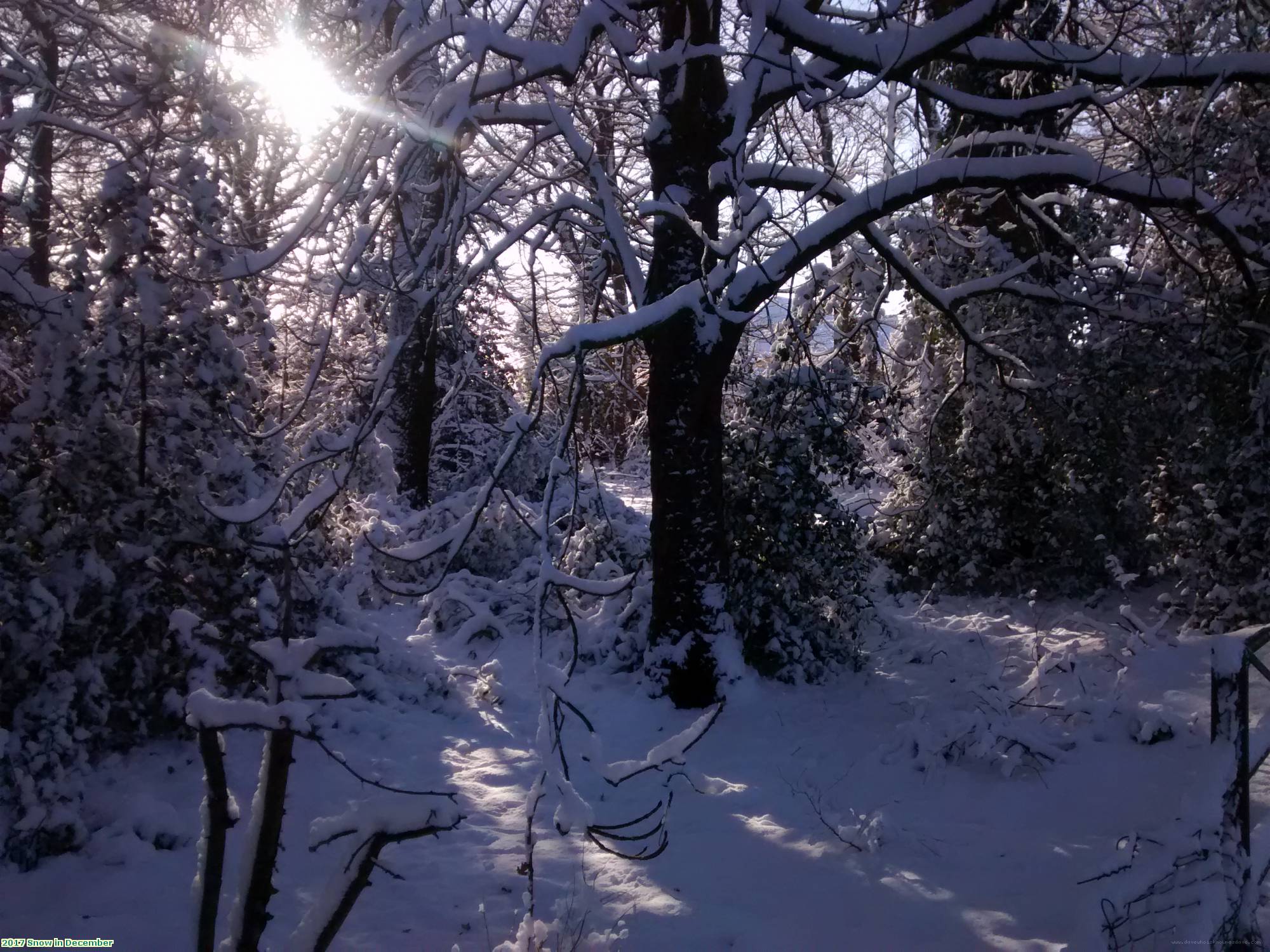 2017 Snow in December