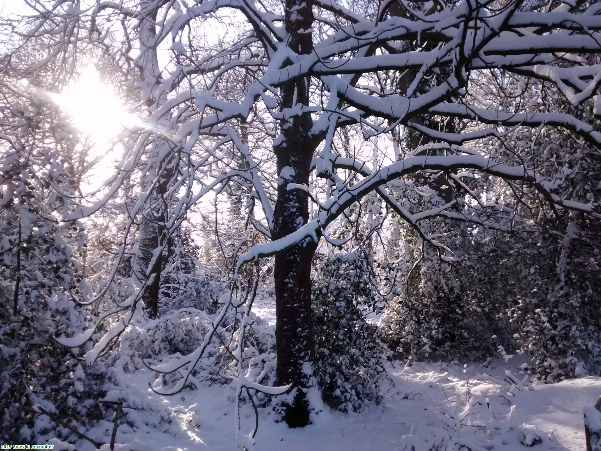 2017 Snow in December