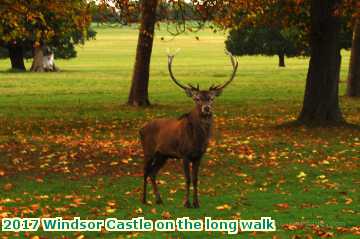  wind 2017 Windsor Castle on the long walk