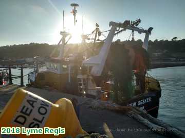  lyme1 2018 Lyme Regis