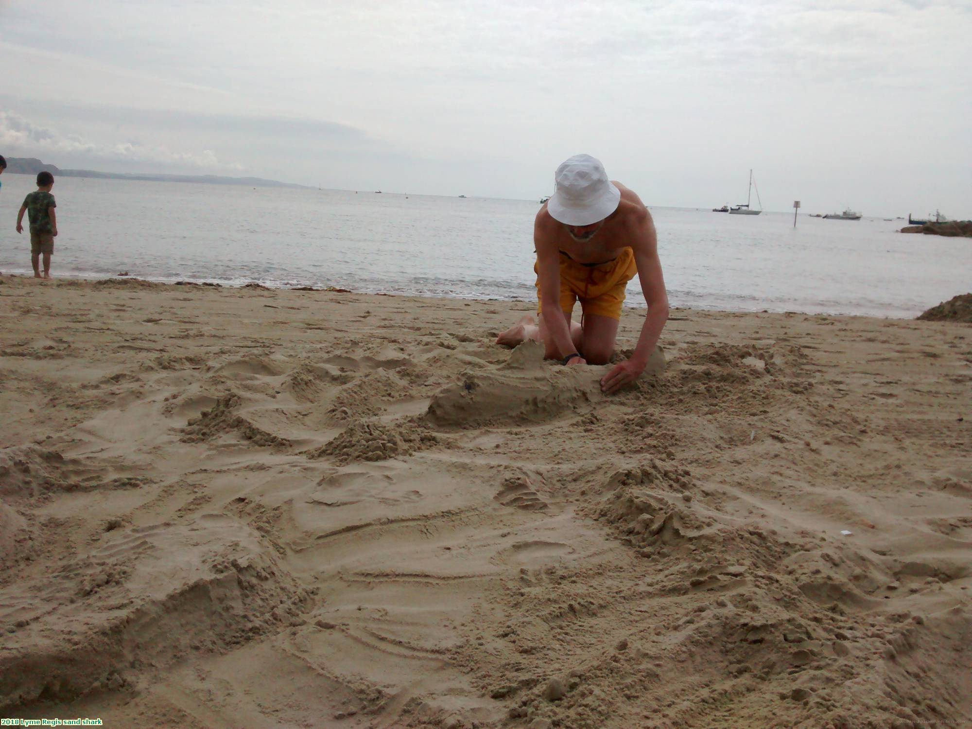 2018 Lyme Regis sand shark