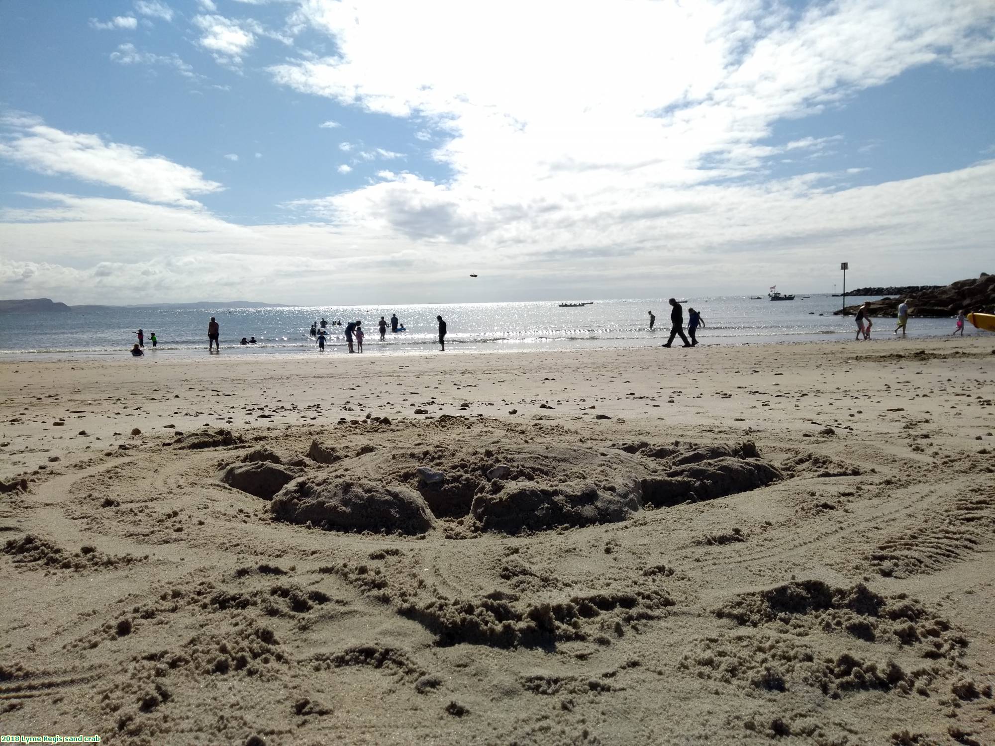 2018 Lyme Regis sand crab