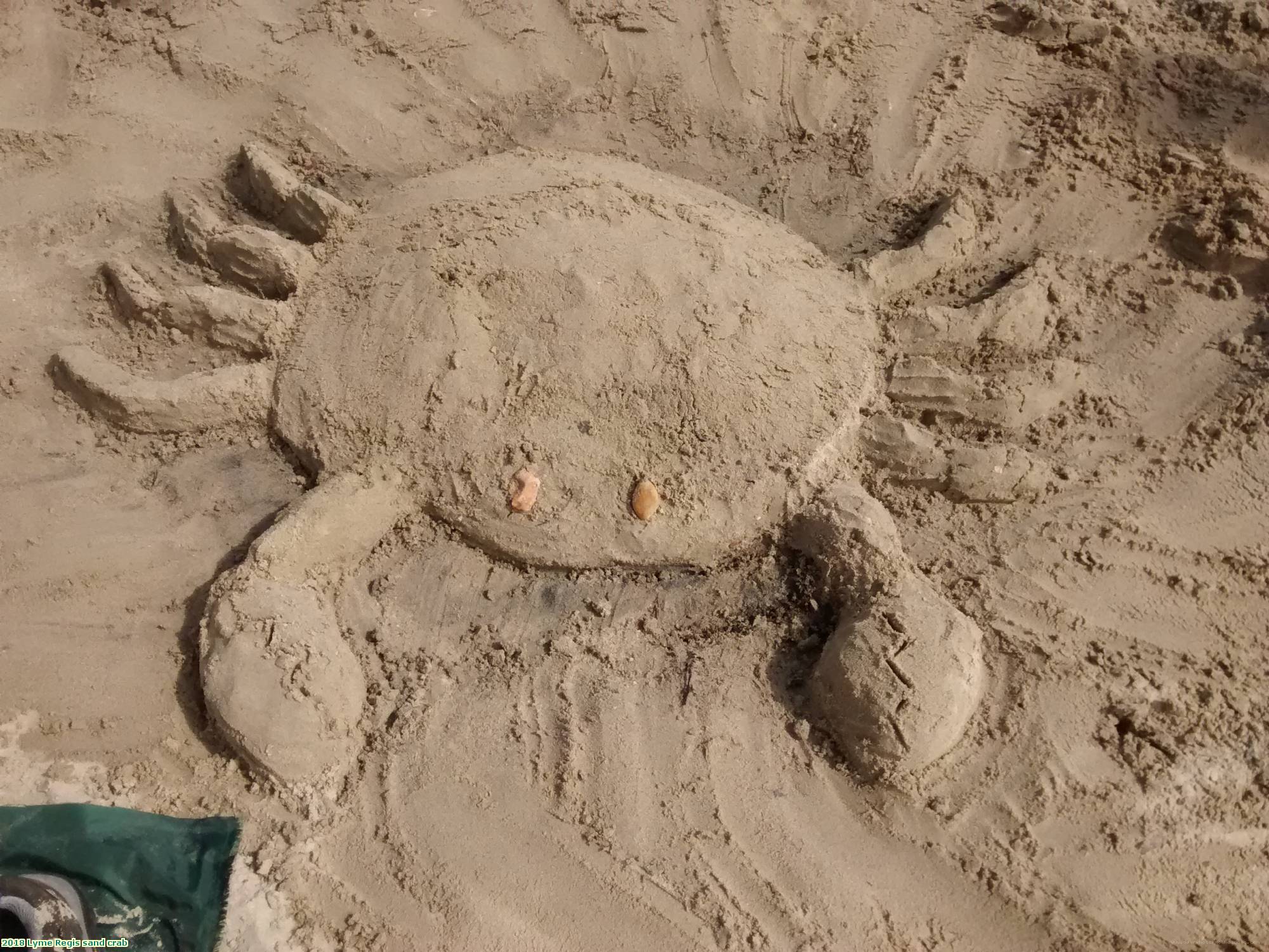 2018 Lyme Regis sand crab