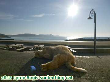  lyme6 2018 Lyme Regis sunbathing cat