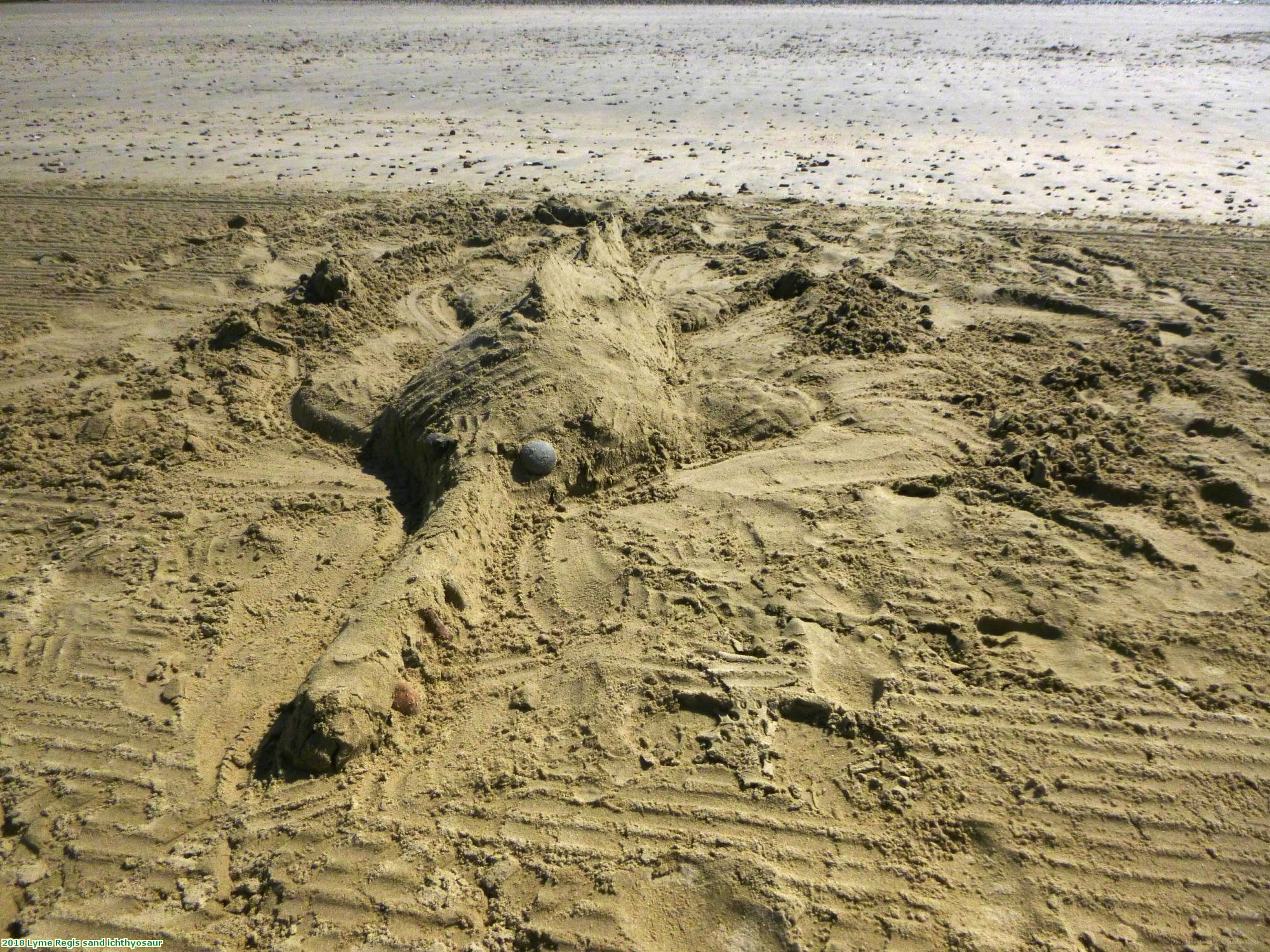 2018 Lyme Regis sand ichthyosaur