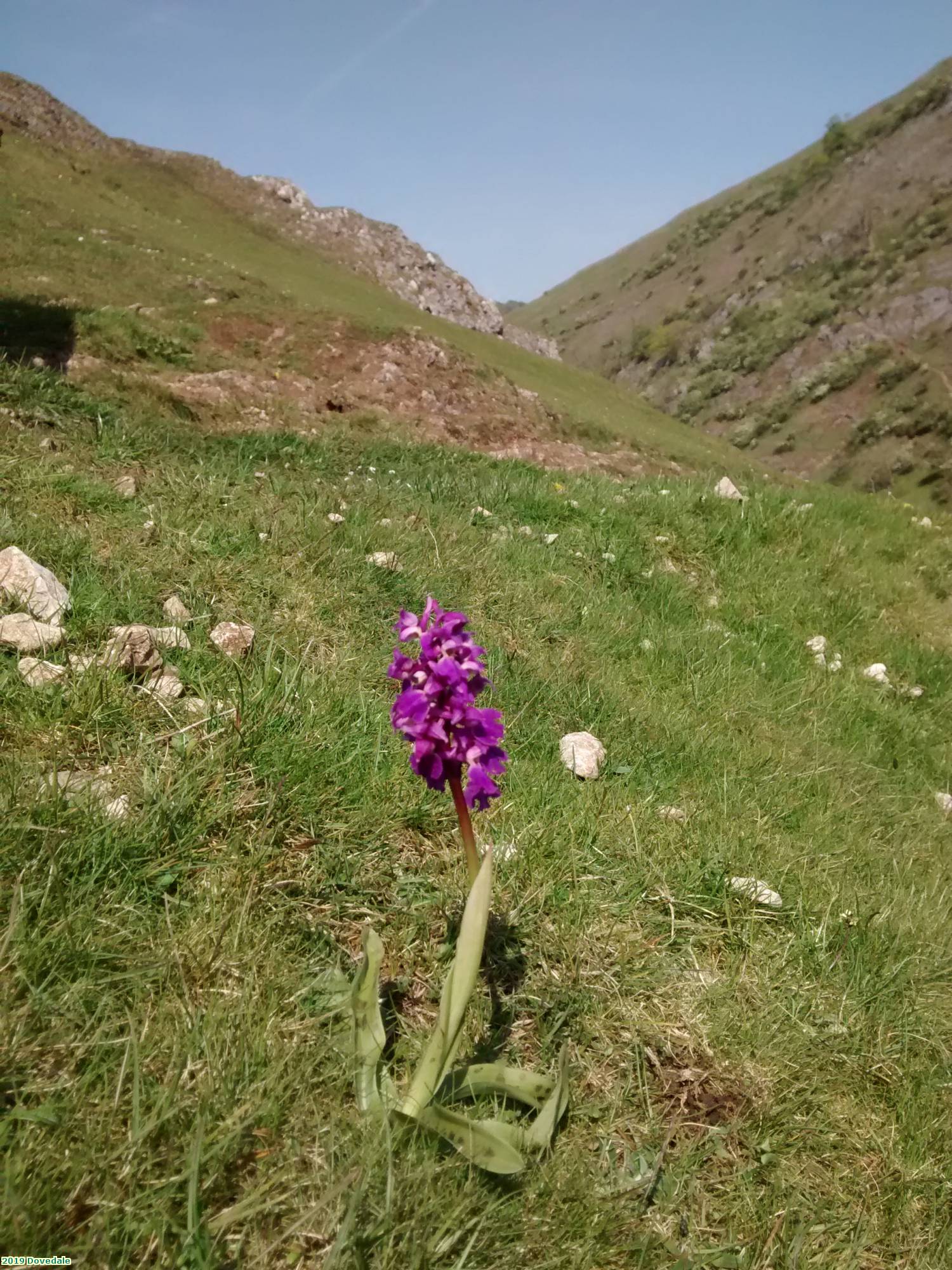 2019 Dovedale