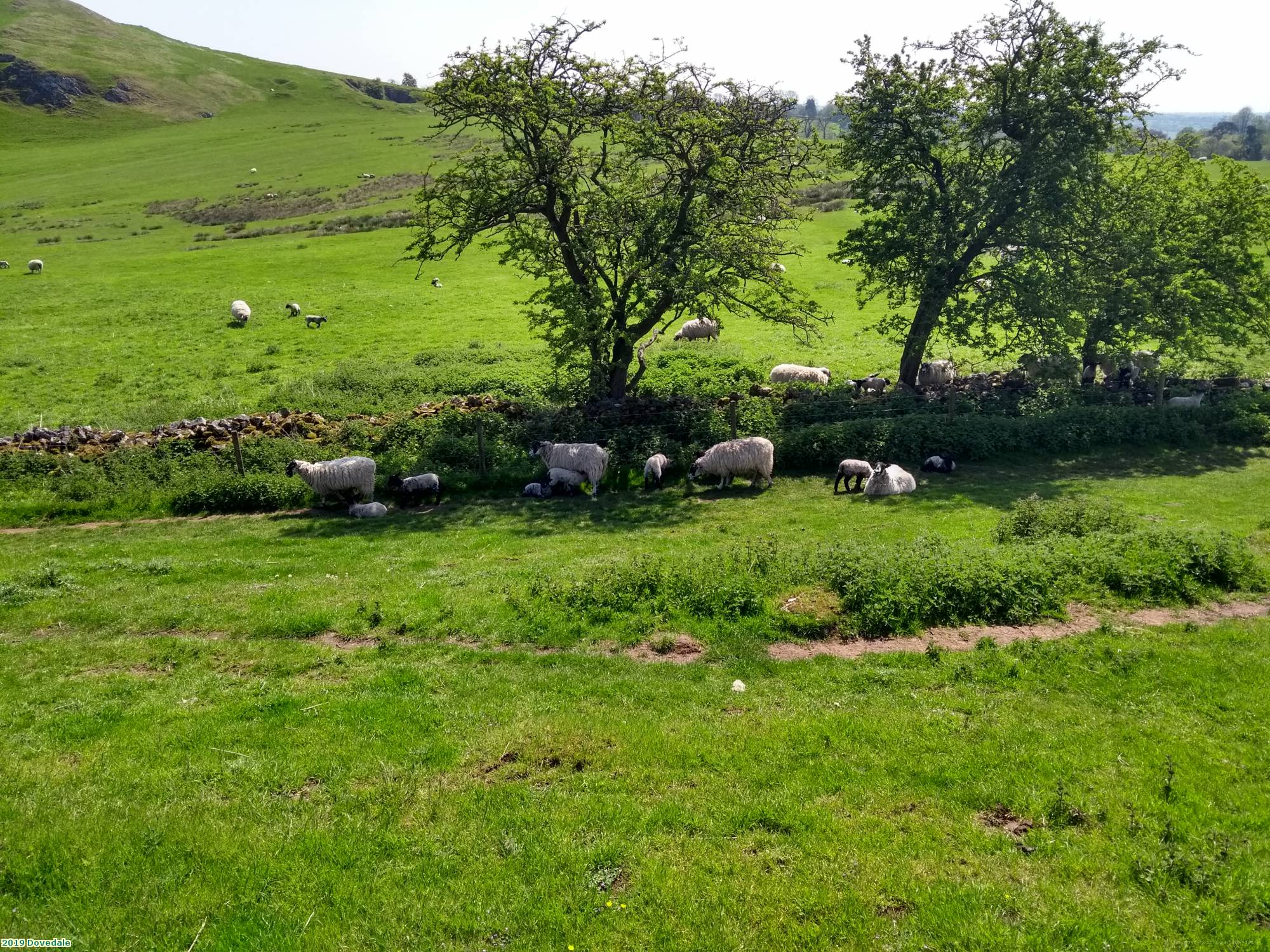 2019 Dovedale