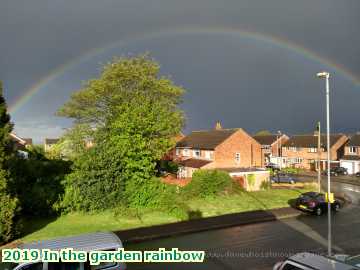  garden 2019 In the garden rainbow