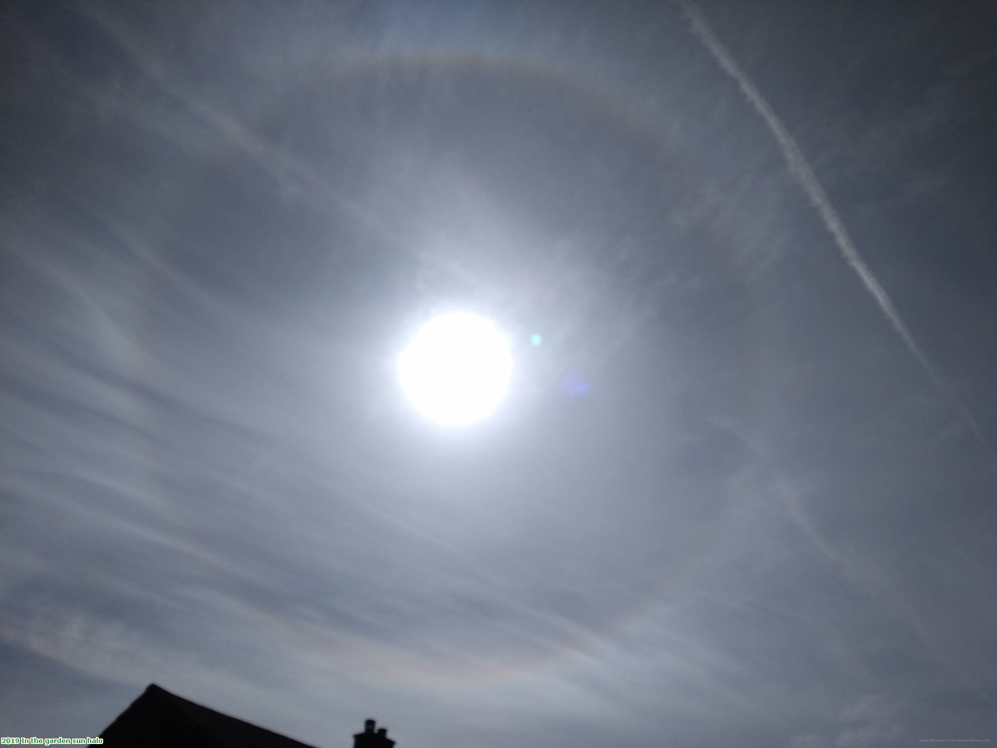 2019 In the garden sun halo