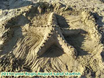  lymeaugust 2019 Lyme Regis August sand starfish