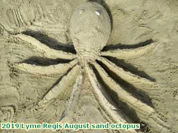  lymeaugust 2019 Lyme Regis August sand octopus