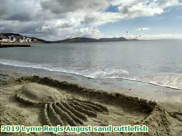  lymeaugust 2019 Lyme Regis August sand cuttlefish