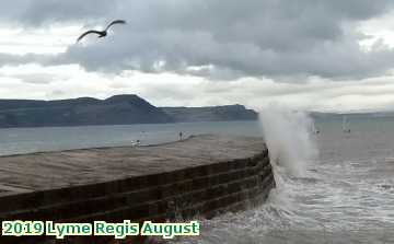  lymeaugust 2019 Lyme Regis August