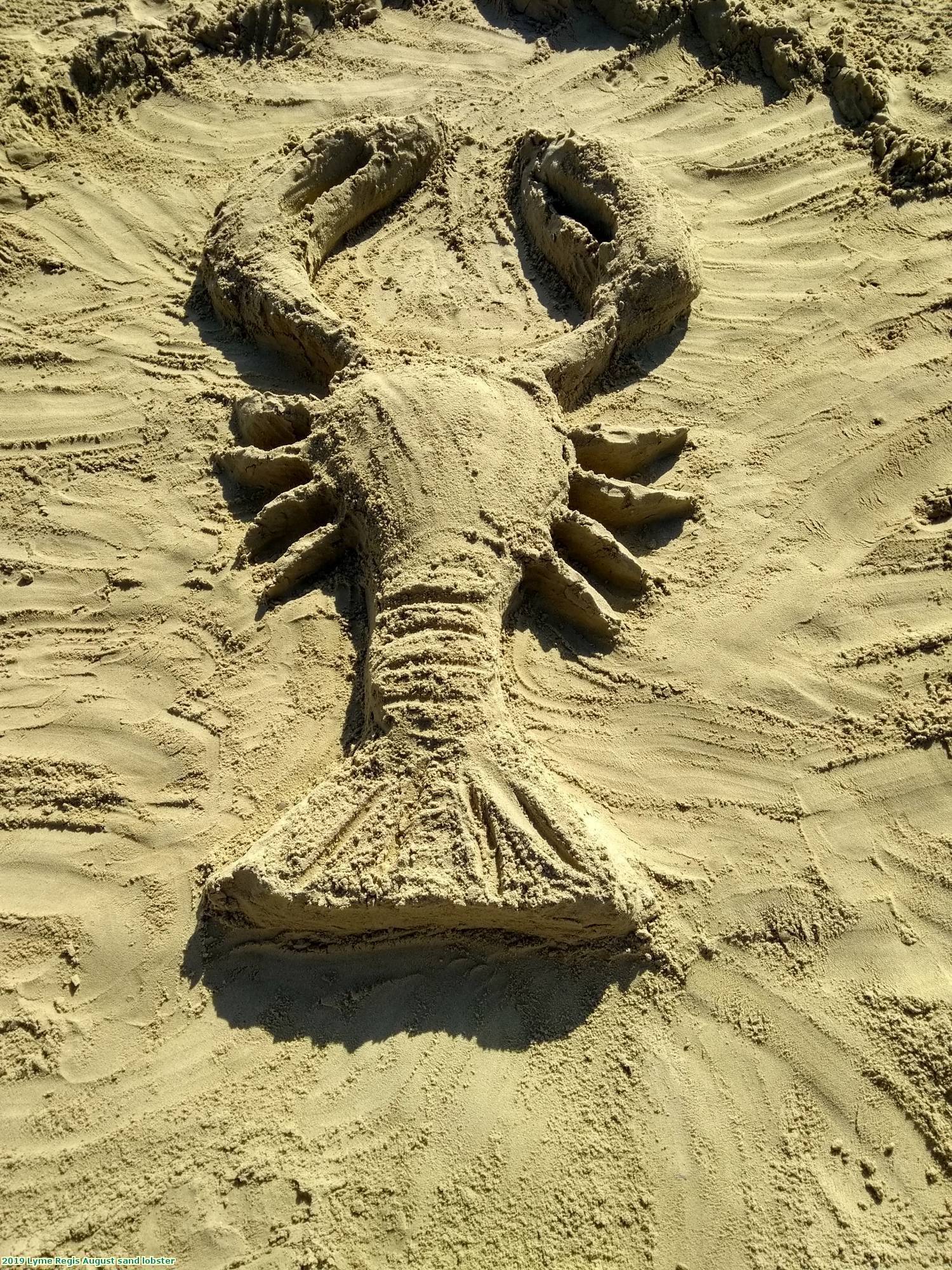 2019 Lyme Regis August sand lobster