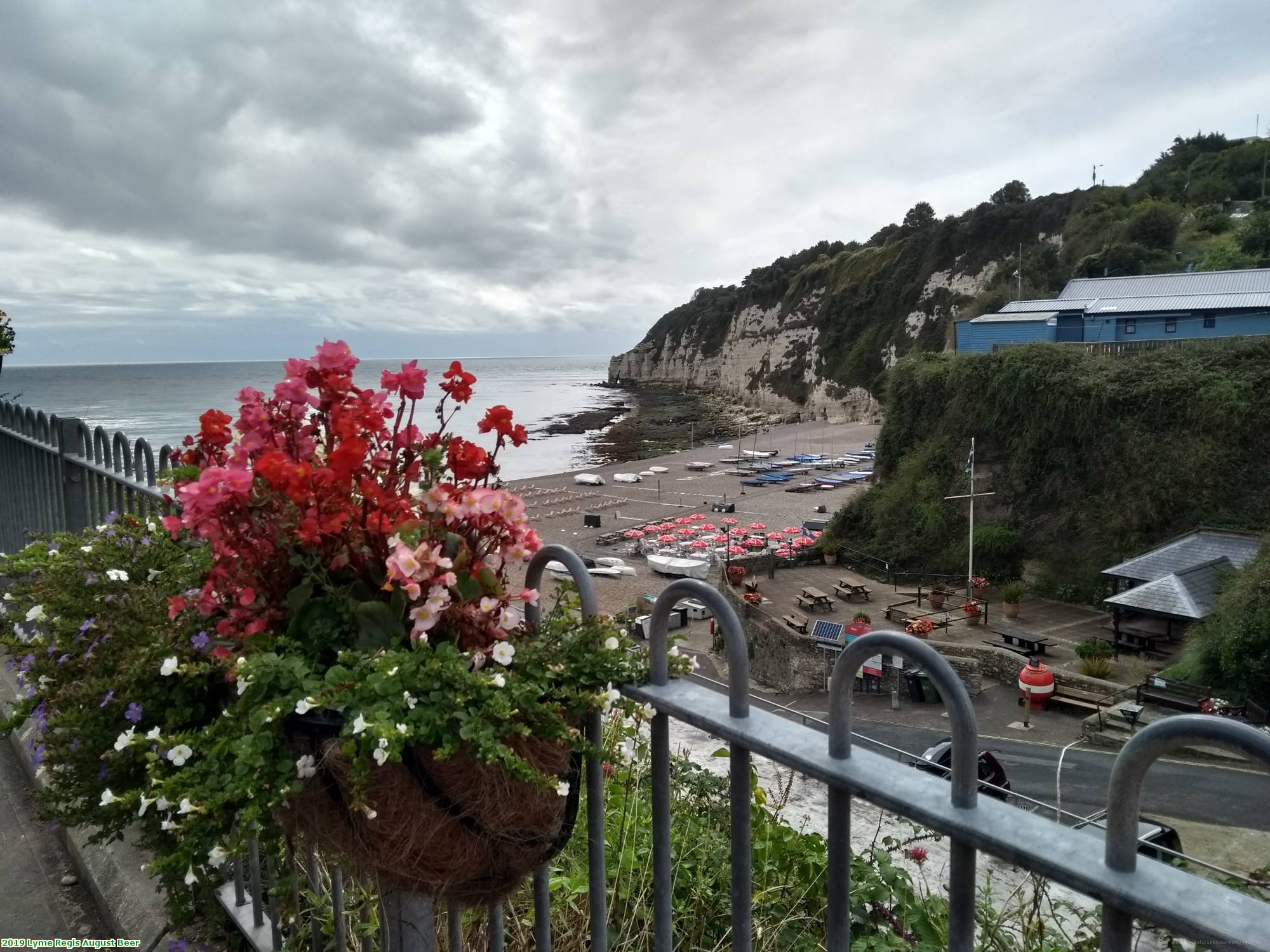 2019 Lyme Regis August Beer