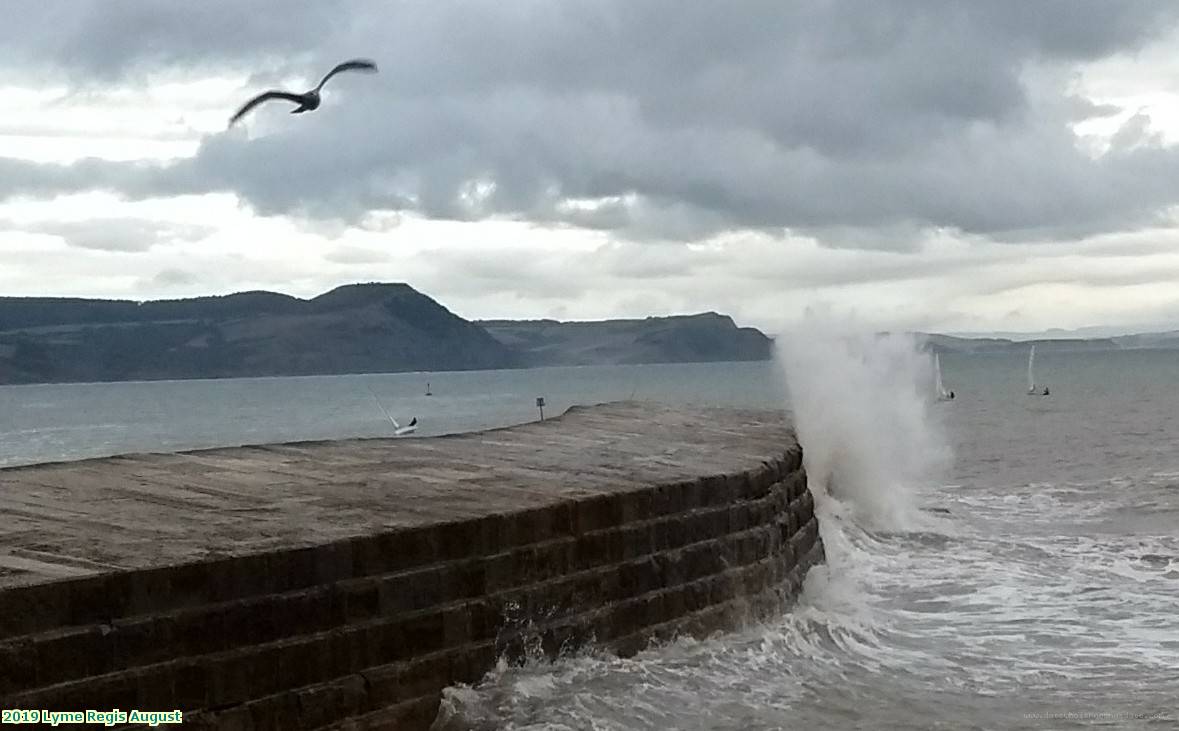 2019 Lyme Regis August