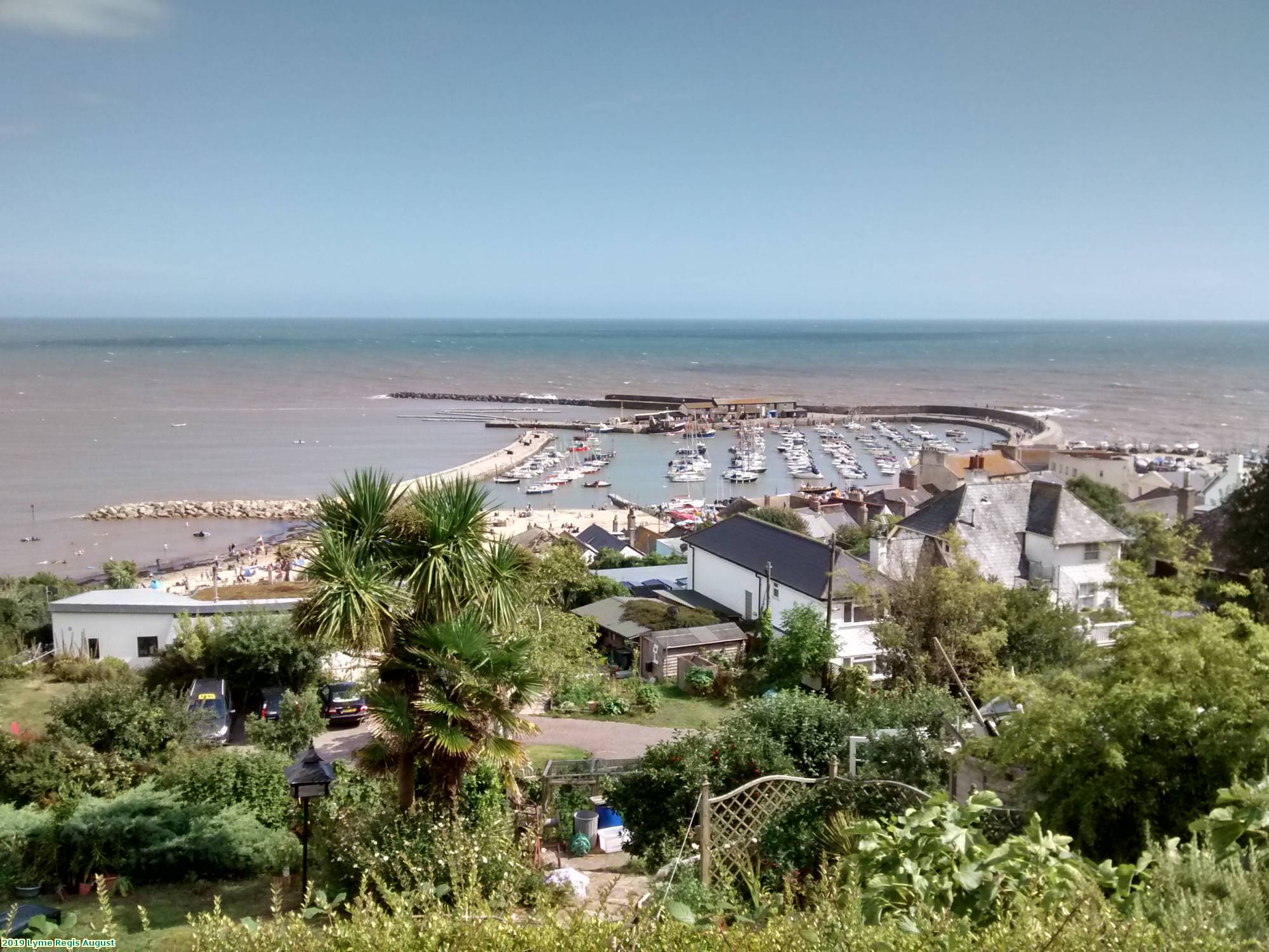 2019 Lyme Regis August