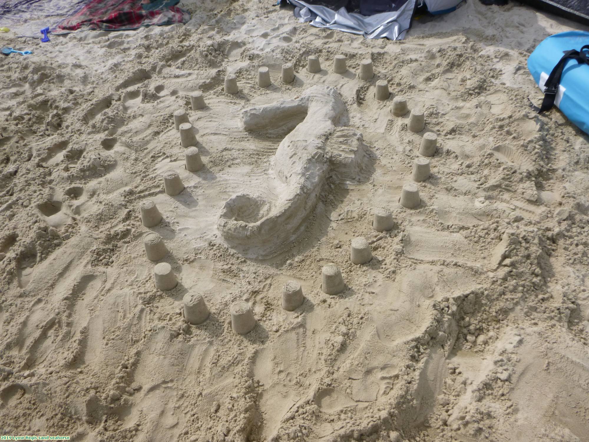 2019 Lyme Regis sand seahorse