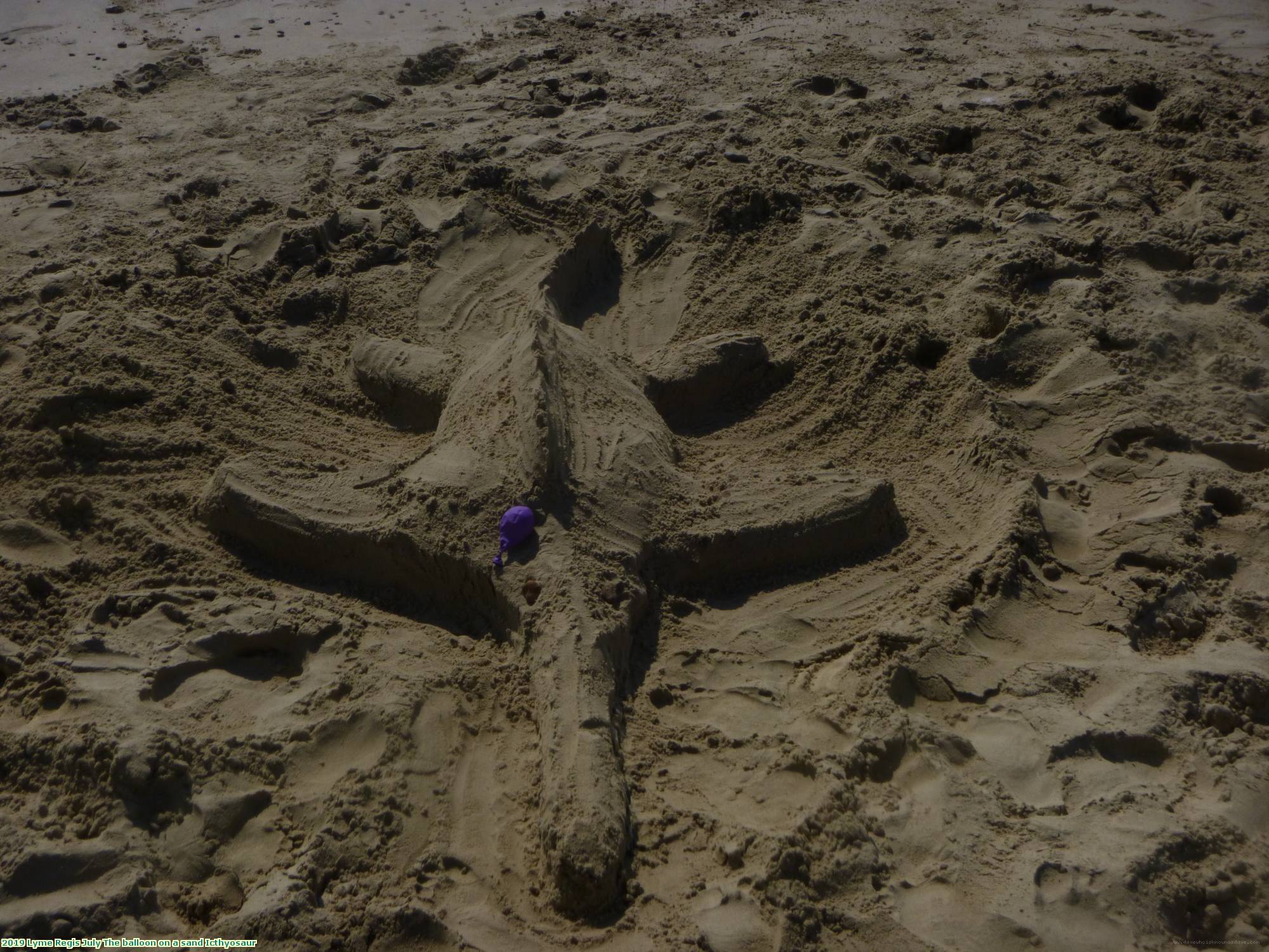 2019 Lyme Regis July The balloon on a sand Icthyosaur