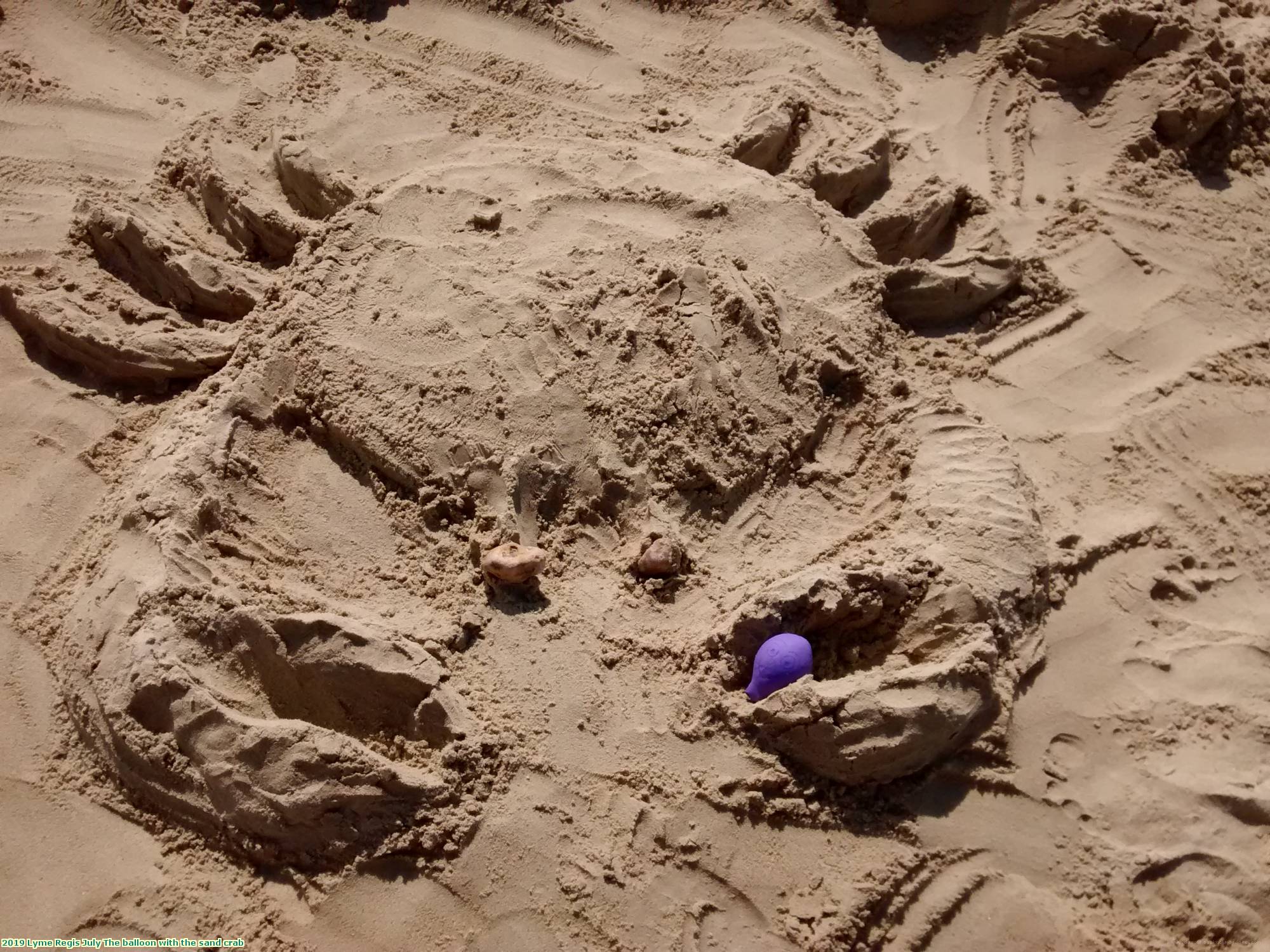 2019 Lyme Regis July The balloon with the sand crab