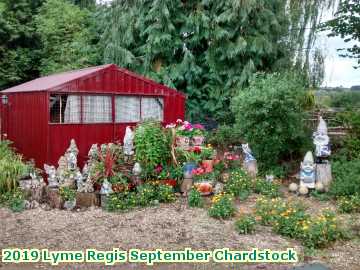  lymesept 2019 Lyme Regis September Chardstock