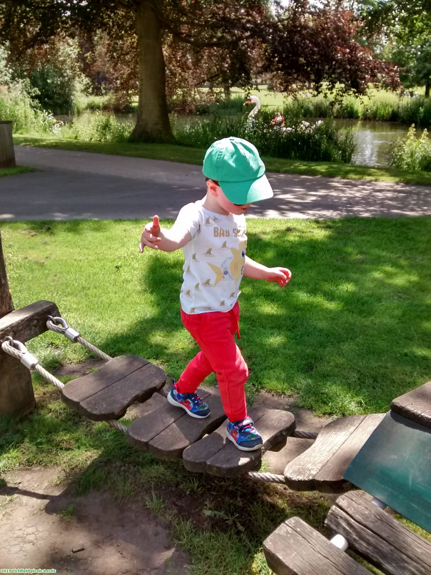 2019 Lichfield picnic Lewis