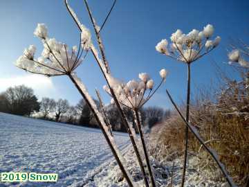  snow 2019 Snow