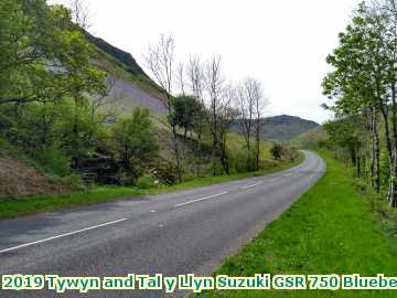  tywyn 2019 Tywyn and Tal y Llyn Suzuki GSR 750 Bluebells on the hillside