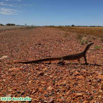  aust 2020 Australia