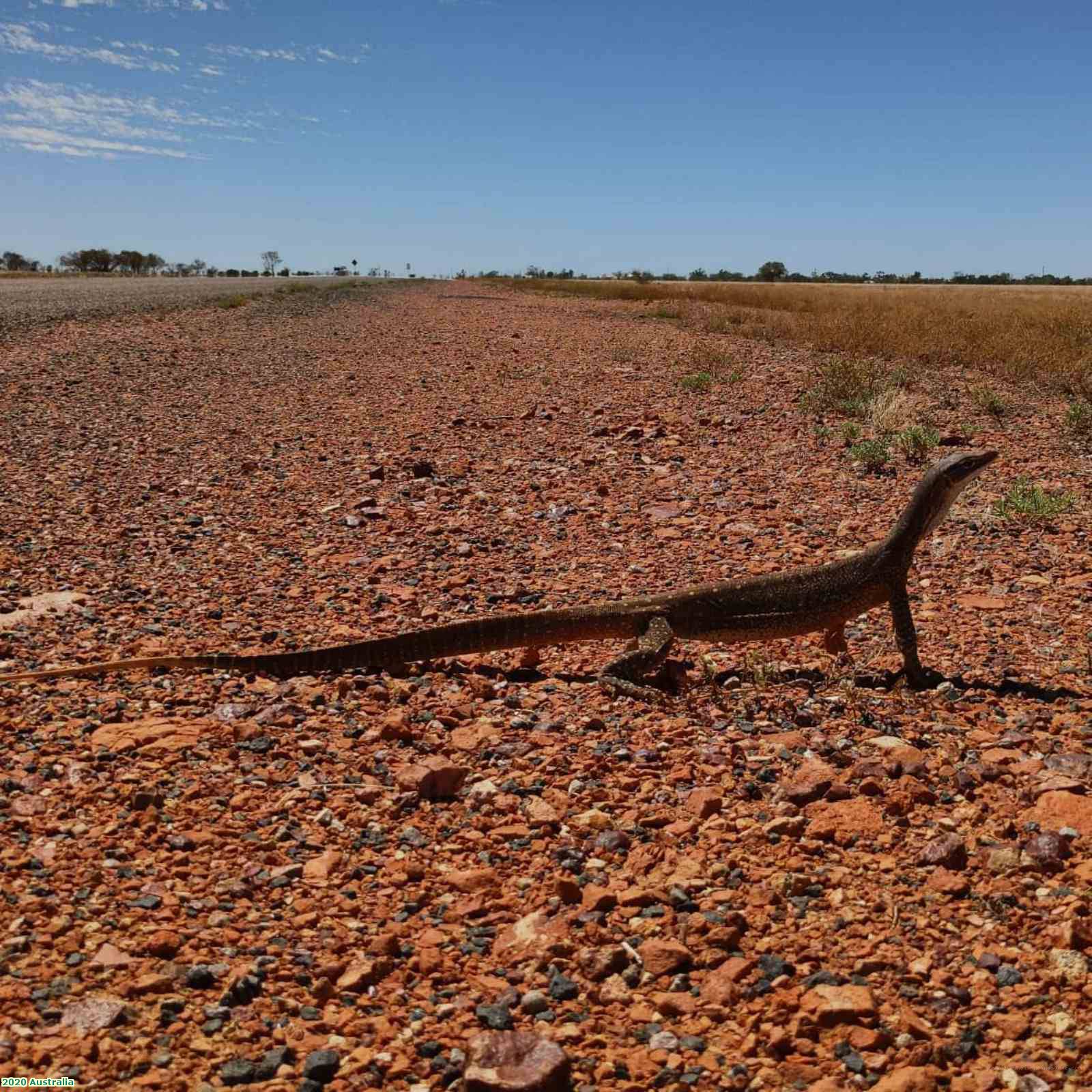 2020 Australia