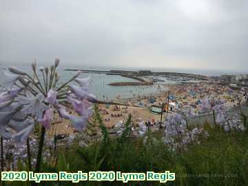  lyme2 2020 Lyme Regis