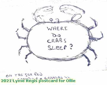  lyme2 2021 Lyme Regis postcard for Ollie