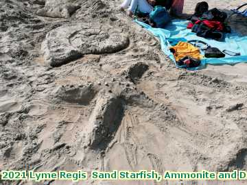  lyme3 2021 Lyme Regis  Sand Starfish, Ammonite and Dolphin