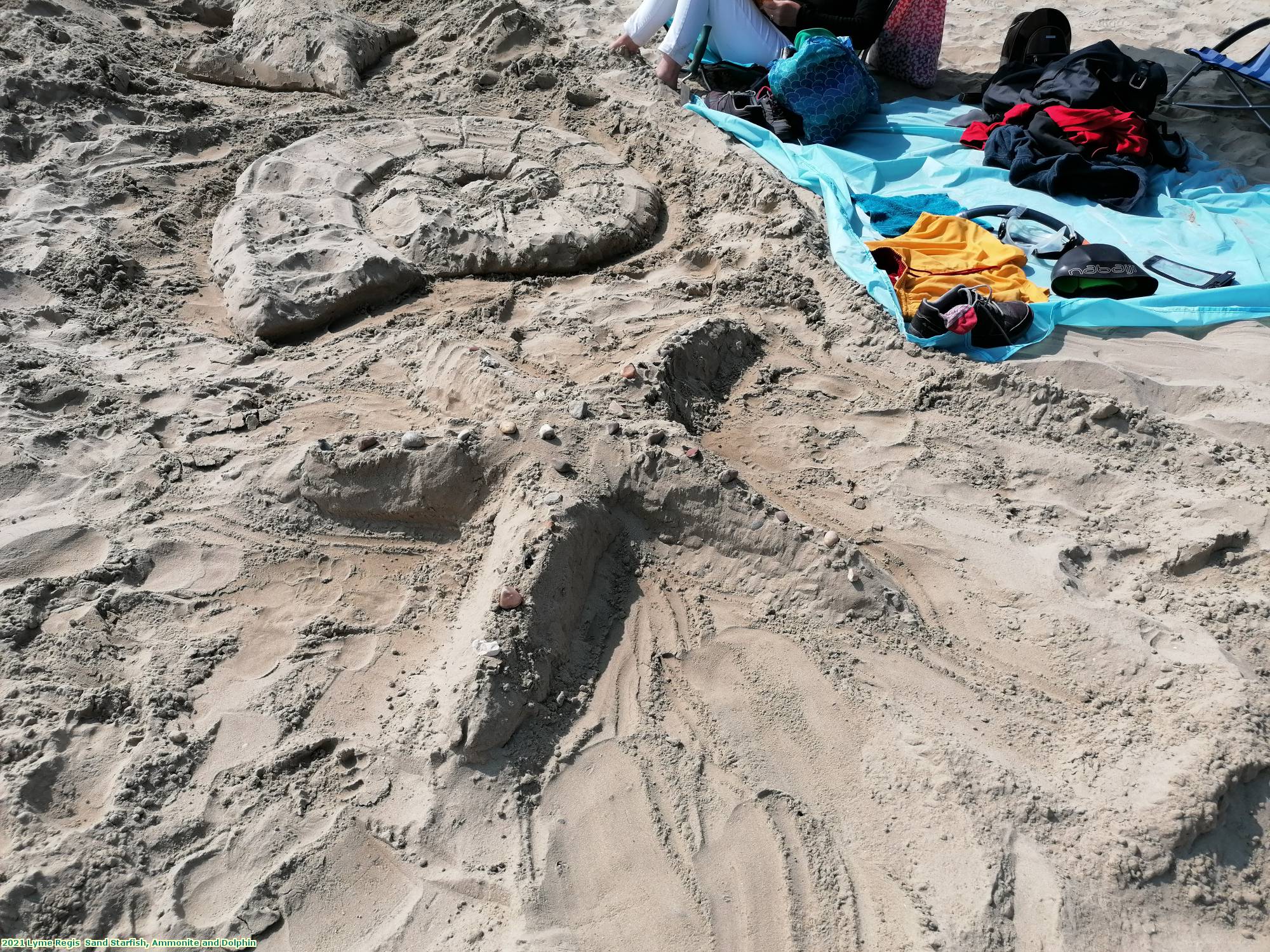 2021 Lyme Regis  Sand Starfish, Ammonite and Dolphin